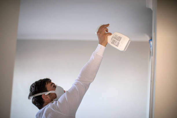 Best Local Mold Removal Service  in Big Sky, MT