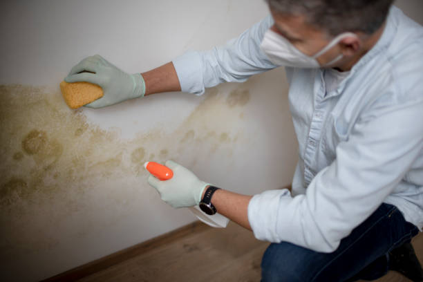 Best Crawl Space Mold Removal  in Big Sky, MT